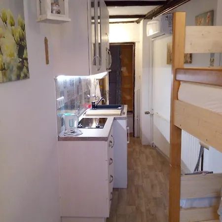 公寓 捷克斯特里德霍里公寓 特普利采